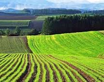 изображение viber 2025-12-04 14-28-57-235