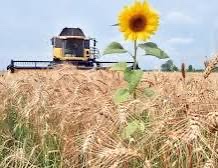 изображение viber 2025-12-04 14-30-48-617