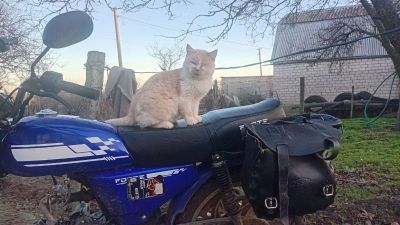 изображение viber 2025-11-25 17-30-53-748