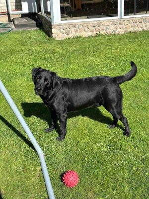 изображение viber 2025-11-25 17-31-57-325